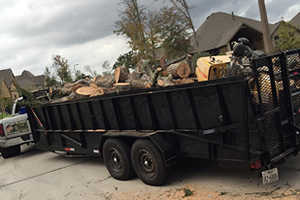 Tree Removal